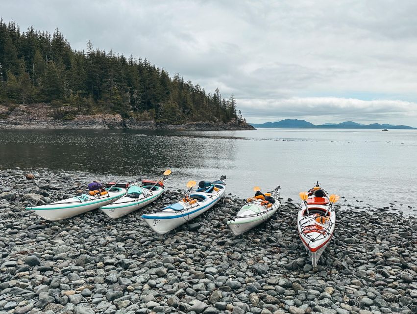 Telegraph Cove: Day Trip Kayaking Tour - Highlights and Inclusions