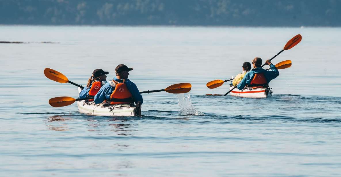 Telegraph Cove: Day Trip Kayaking Tour - Equipment and Gear