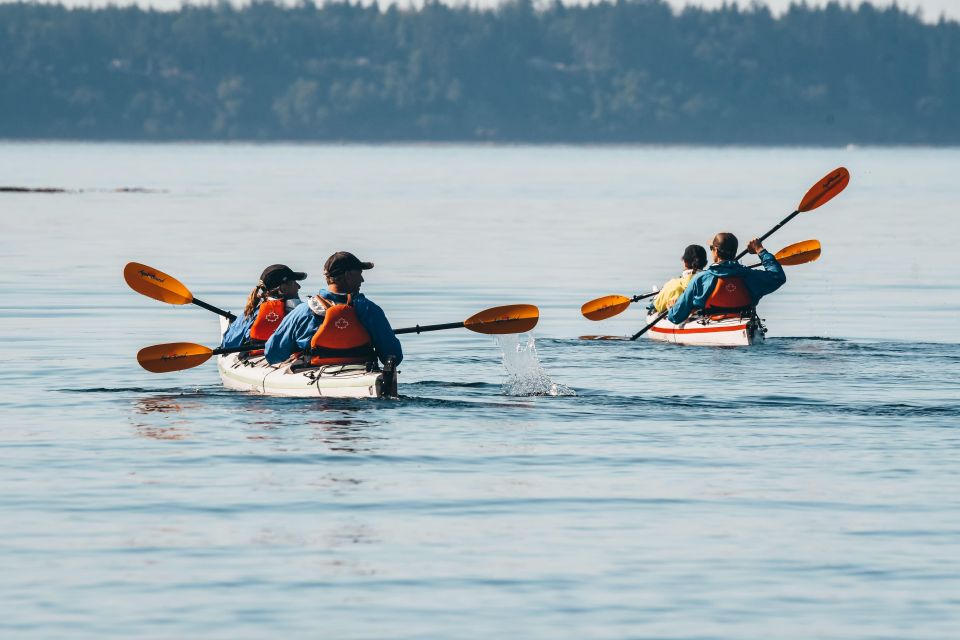 Telegraph Cove: Day Trip Kayaking Tour - Weather and Conditions