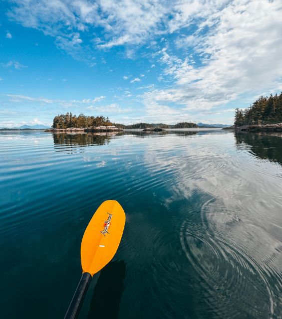Telegraph Cove: Day Trip Kayaking Tour - Frequently Asked Questions