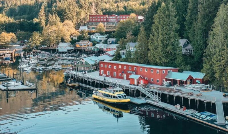 Telegraph Cove: Full-Day Trip Kayaking Tour - Key Points