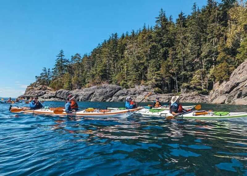 Telegraph Cove: Full-Day Trip Kayaking Tour - An Authentic Vancouver Island Adventure
