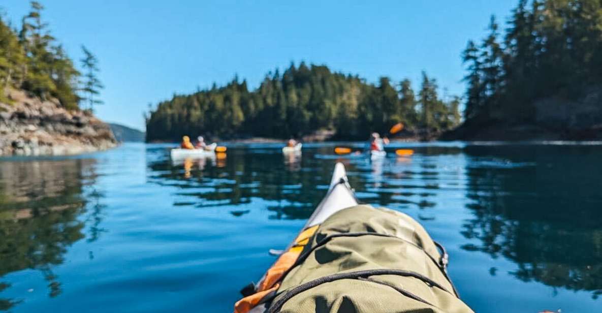 Telegraph Cove: Half-Day Kayaking Tour - Inclusions and Exclusions