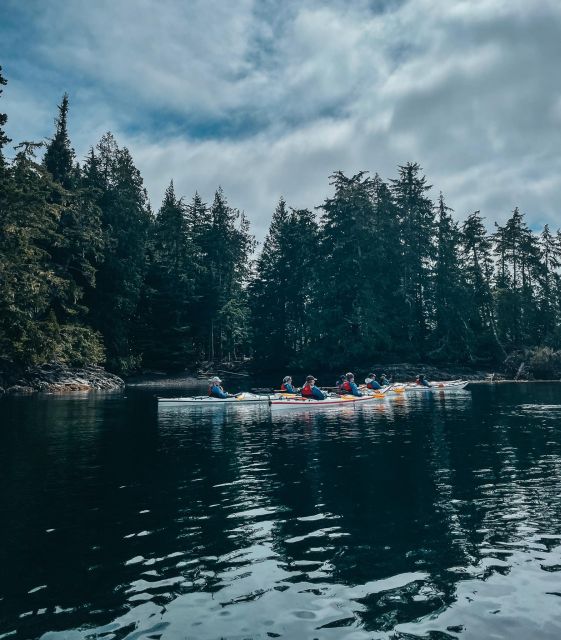 Telegraph Cove: Half-Day Kayaking Tour - Restrictions and Safety Considerations