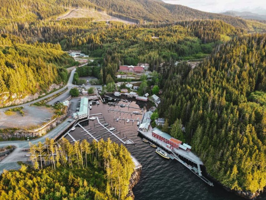 Telegraph Cove: Half-Day Kayaking Tour - Frequently Asked Questions