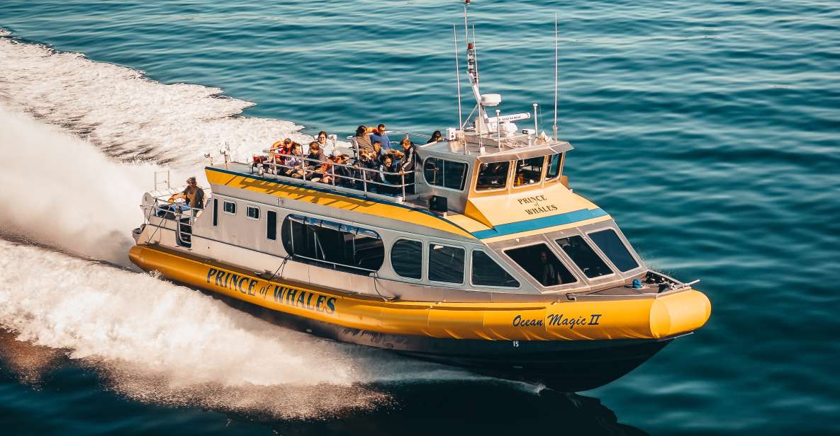 Telegraph Cove: Half-Day Whale Watching Tour - Included Highlights