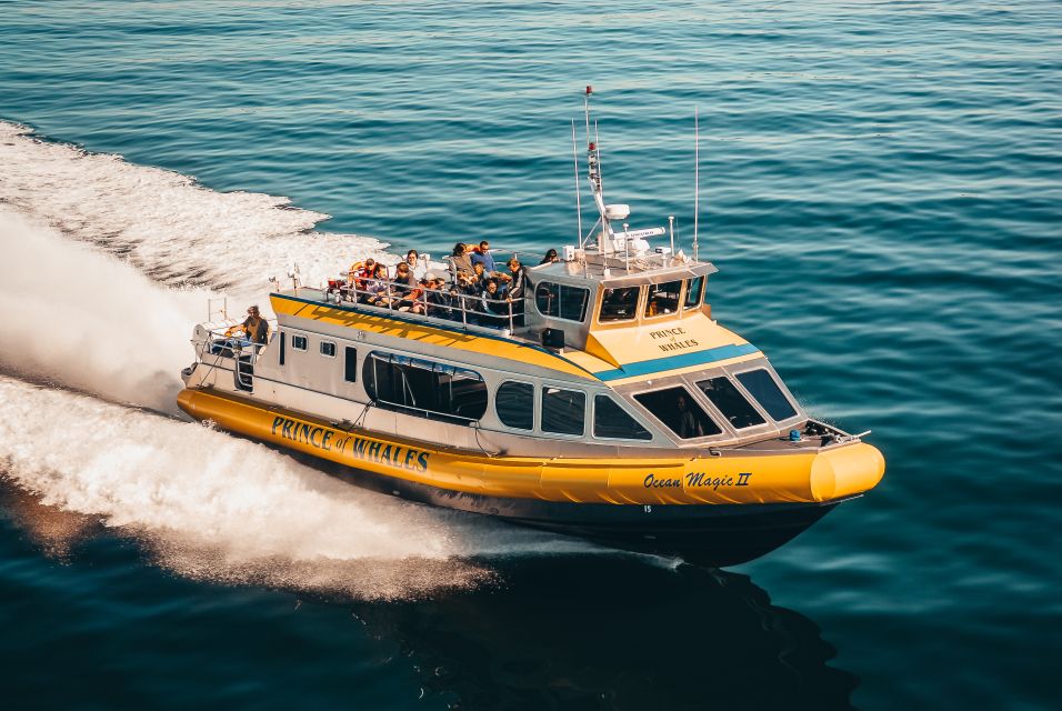 Telegraph Cove: Half-Day Whale Watching Tour - Aboard Ocean Magic II