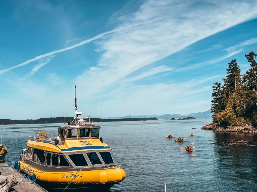 Telegraph Cove: Half-Day Whale Watching Tour - Complementary Refreshments