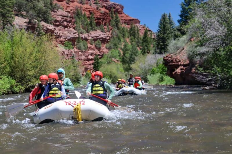 Telluride 1 Day Rafting Trip with Lunch - San Miguel River - What Makes This Rafting Trip Special
