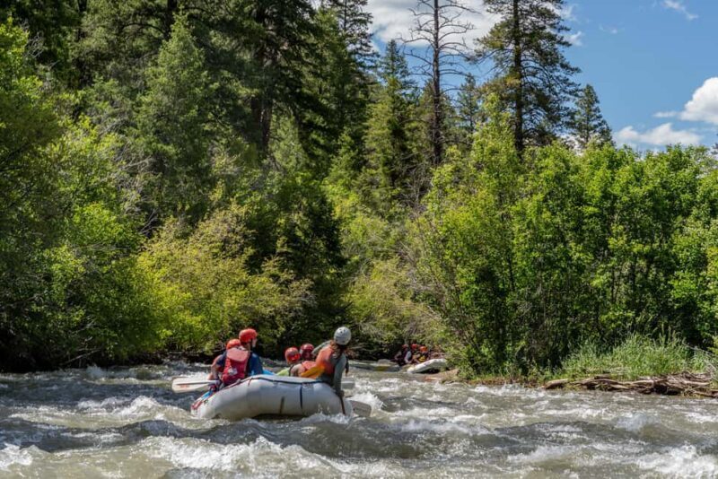 Telluride 1 Day Rafting Trip with Lunch - San Miguel River - The Experience and What Youll Get