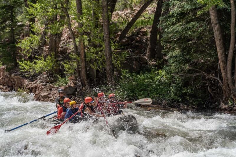Telluride Morning Half Day Rafting Trip - San Miguel River - Who Is This Tour Best For?