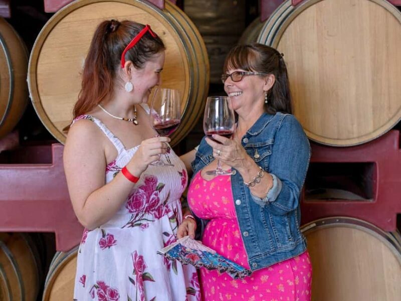 Temecula Valley 4-Hour Wine Tour with Tastings Included - The Guide and Group Atmosphere