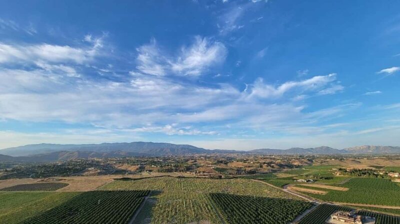 Temecula Valley: Sunrise Hot Air Balloon Ride with Champagne - The Experience: What To Expect During Your Flight