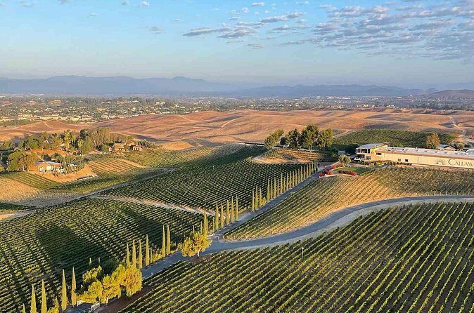 Temecula Winery Transportation - FAQs About Temecula Winery Transportation