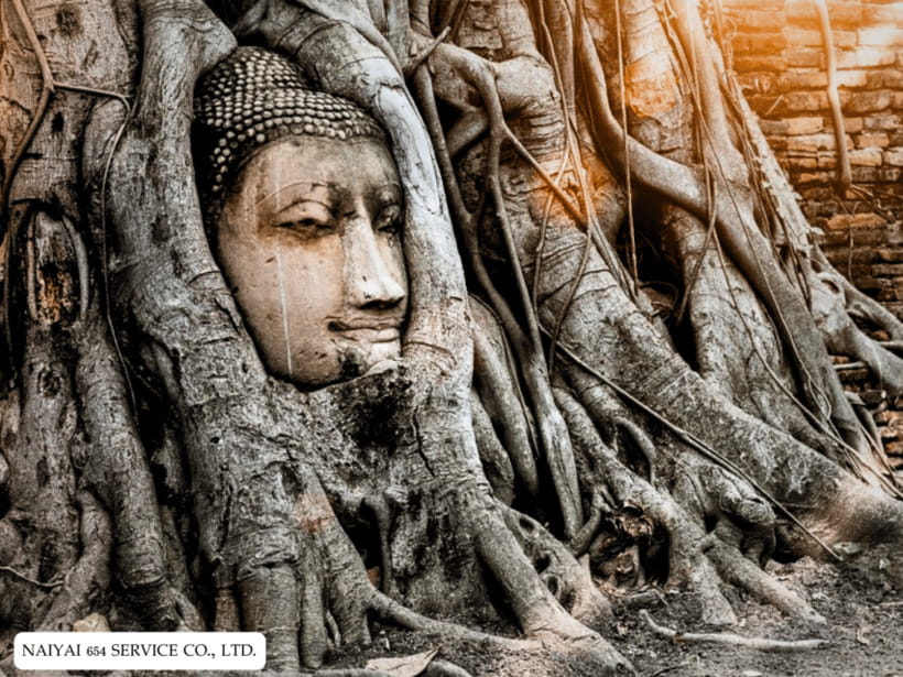Temple Visits in Ayutthaya and a Walk Through History. - Key Points