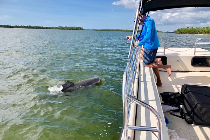 Ten Thousand Islands Boat Tour up to 12 People - Additional Tour Information