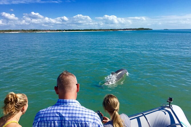 Ten Thousand Islands Boat Tour up to 12 People - Booking Confirmation