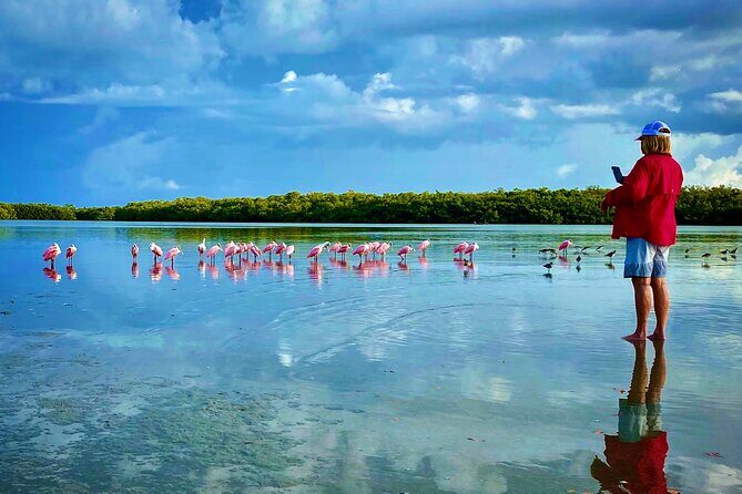 Ten Thousand Islands Eco/Dolphin Tour - Who Is This Tour Best For?