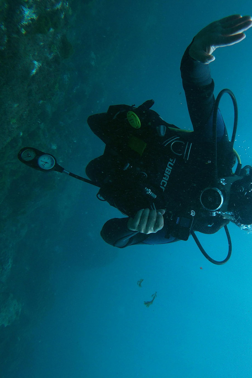 Tenerife - 2 Guided Dives for Certified Divers - Half Day - Included Amenities and Gear