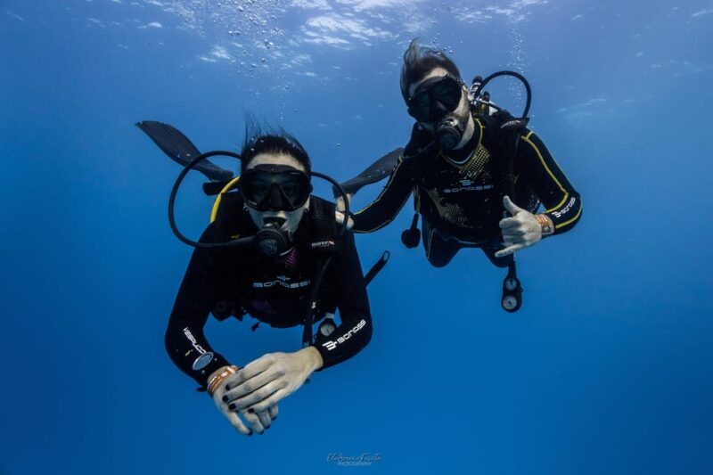 Tenerife - 2 Guided Dives for Certified Divers - Half Day - Meeting Point and Transportation
