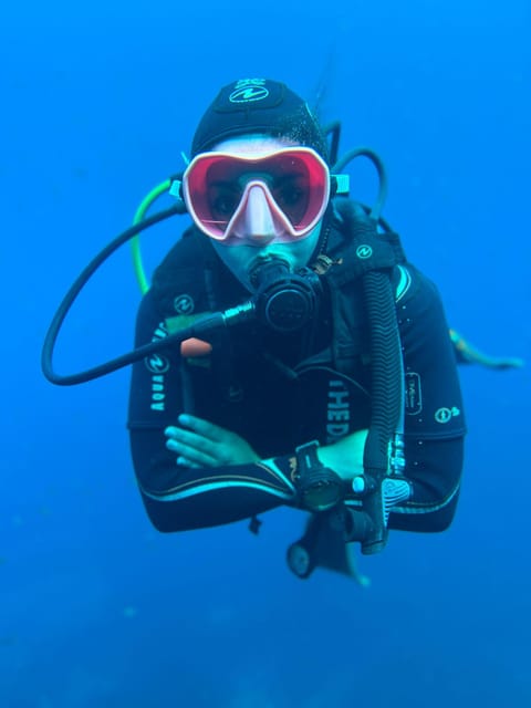 Tenerife - 2 Guided Dives for Certified Divers - Half Day - Customer Testimonials
