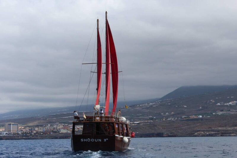 Tenerife: 5-Hour Whales and Dolphins Tour - Transportation and Pickup Information