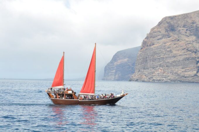 Tenerife: 5-Hour Whales and Dolphins Tour - Exploring Tenerife Beyond the Tour