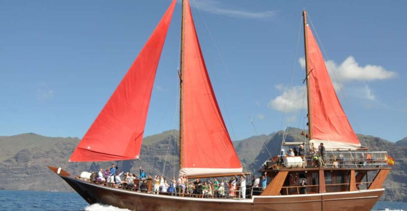 Tenerife: 5-Hour Whales and Dolphins Tour - Itinerary Details