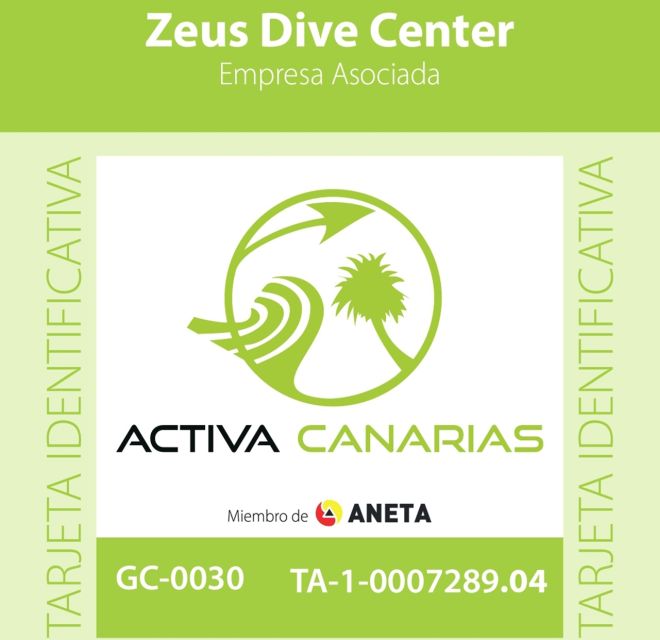 Tenerife: Abades Beach Beginner Diving Experience - Diving Location and Conditions