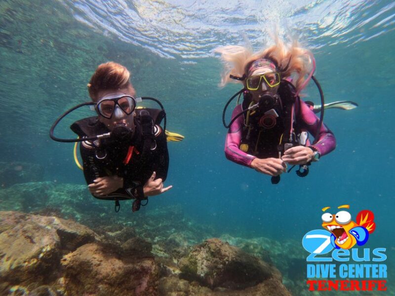 Tenerife: Abades Beach Beginner Diving Experience - Diving Equipment Provided
