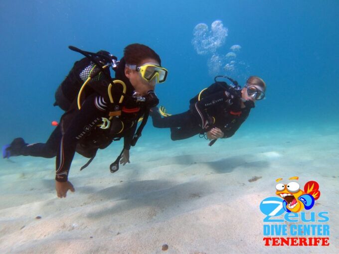 Tenerife: Abades Beach Beginner Diving Experience - Frequently Asked Questions