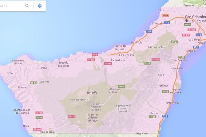 Tenerife Airport Transfer from South Airport (Reina Sofia) to North Area Hotels - Why This Transfer Works Well