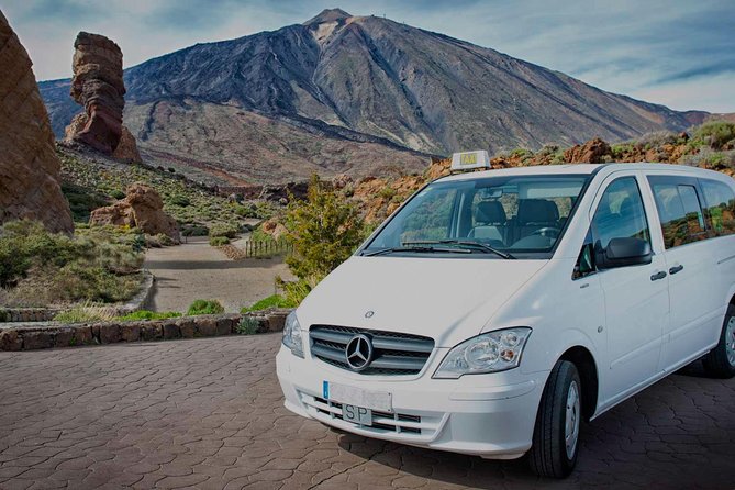 Tenerife Airport Transfer From South Airport (Reina Sofia) to South Area Hotels - Good To Know