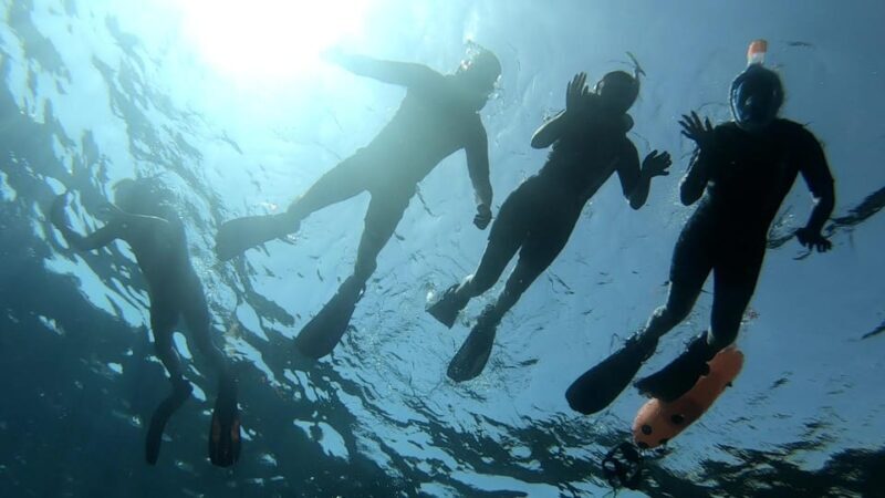 Tenerife: Alcalá Guided Snorkeling Tour - Final Thoughts: The Value of a Guided Snorkeling Experience in Alcalá