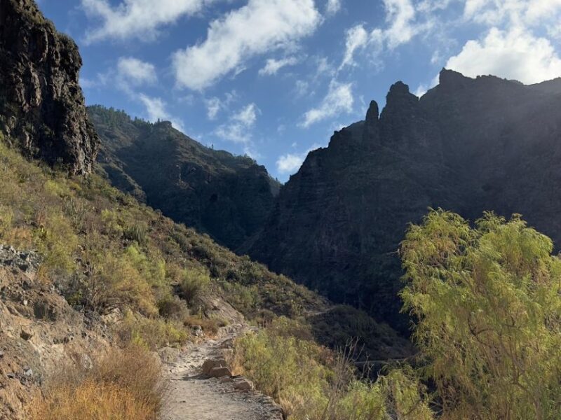 Tenerife: Barranco Del Infierno Guided Hiking Tour - Key Points