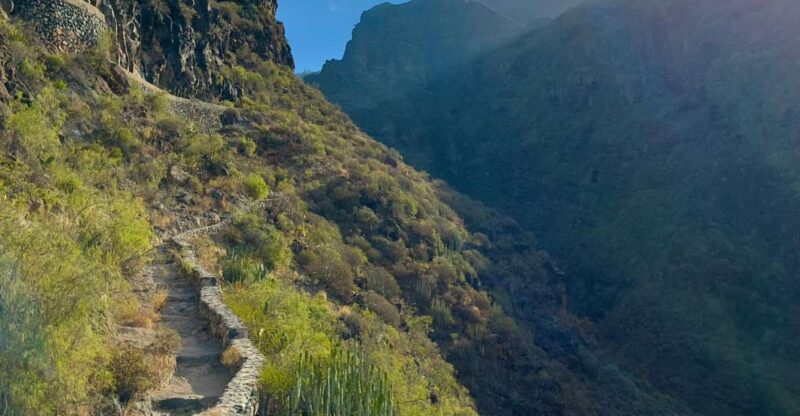 Tenerife: Barranco Del Infierno Guided Hiking Tour - Highlights and Experience