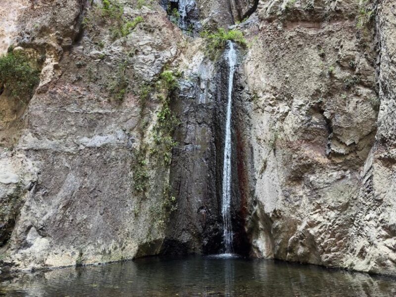 Tenerife: Barranco Del Infierno Guided Hiking Tour - Activity Description