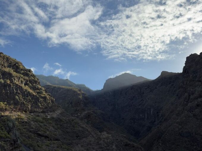 Tenerife: Barranco Del Infierno Guided Hiking Tour - What to Expect on the Tour