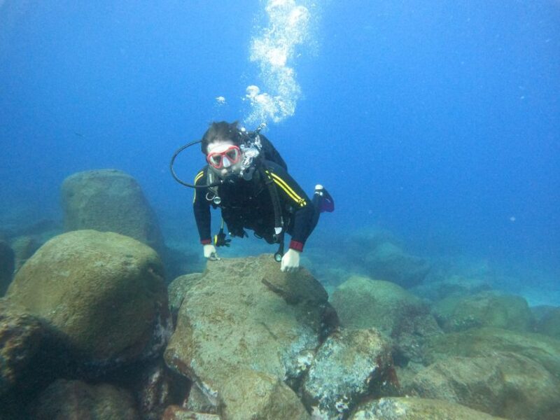 Tenerife: Beginners Scuba Dive Experience in Turtle Area - Key Points