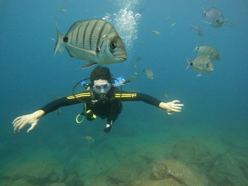 Tenerife: Beginners Scuba Dive Experience in Turtle Area - Exploring the Dive Site