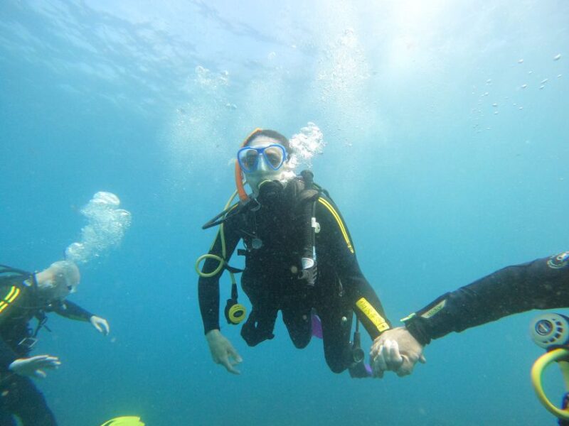 Tenerife: Beginners Scuba Dive Experience in Turtle Area - The Snorkeling Safari