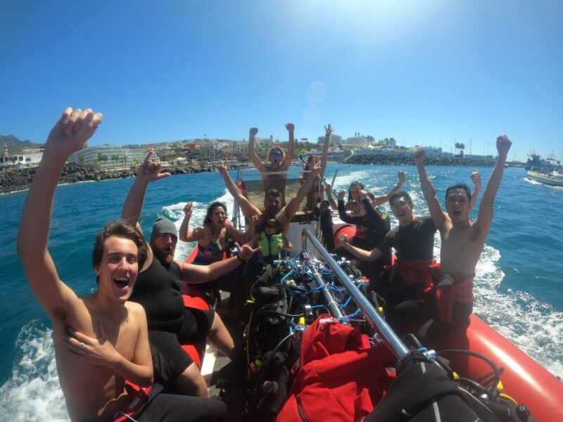 Tenerife: Beginners Scuba Dive Experience in Turtle Area - Boat Ride to the Dive Location