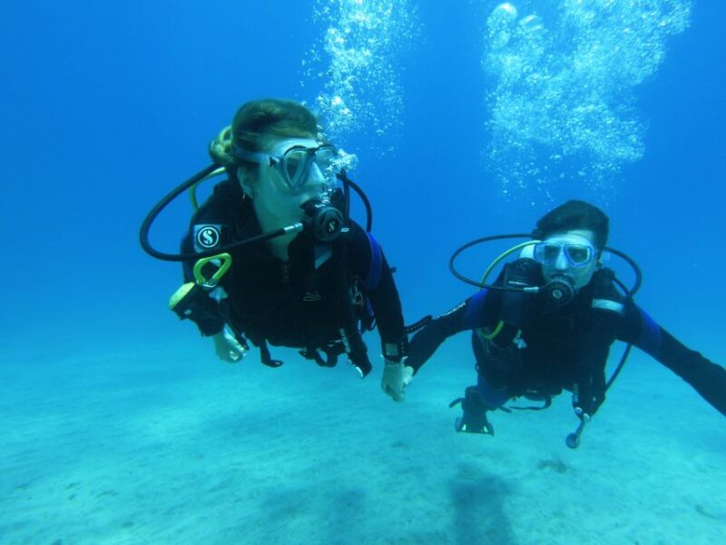 Tenerife: Beginners Scuba Diving Experience - Customer Feedback