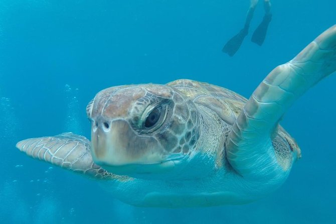 Tenerife by Kayak and Snorkeling Adventure in Small Group - Physical Requirements for Participants