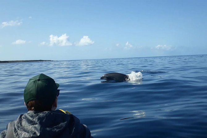 Tenerife by Kayak and Snorkeling Adventure in Small Group - Snorkeling Experience in Tenerife