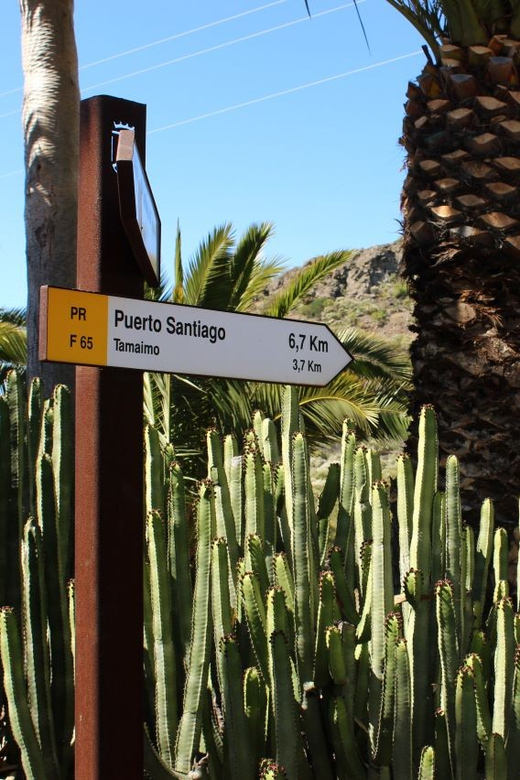 Tenerife: Camino Real Hike - Key Points