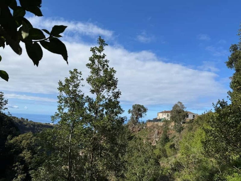 Tenerife: Canary History and Color Potatoes - The Sum Up