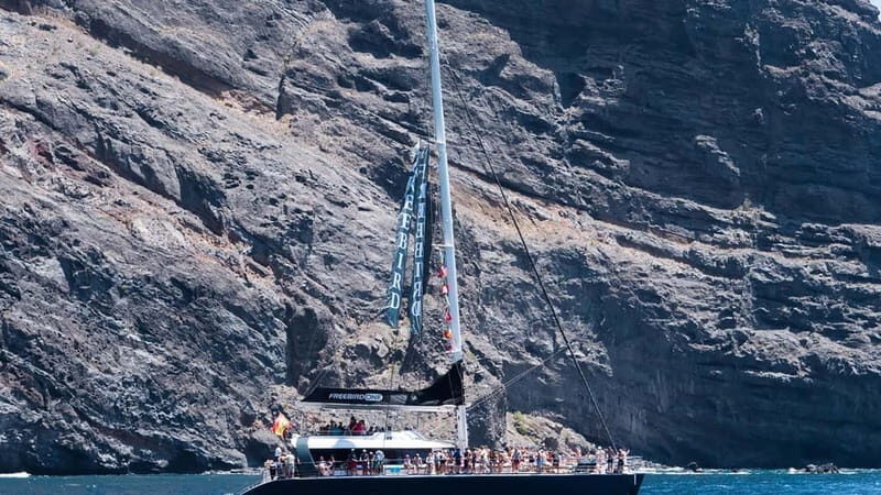Tenerife: Catamaran Cruise with an Open Bar - The Itinerary Breakdown