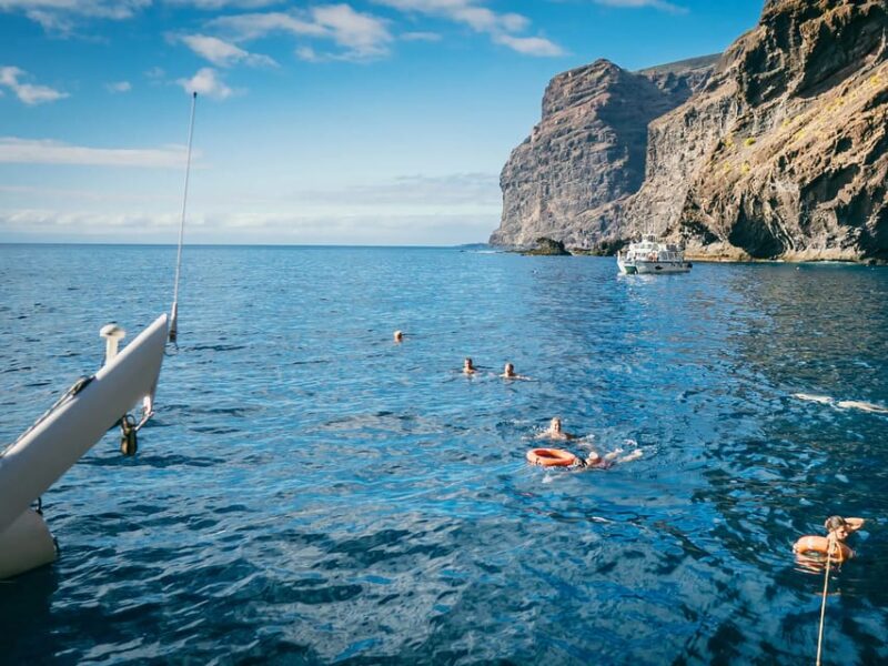 Tenerife: Catamaran Cruise With an Open Bar - Key Points