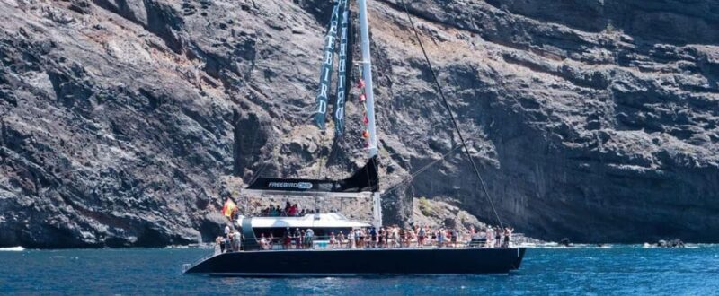 Tenerife: Catamaran Cruise With an Open Bar - Cruise Options and Inclusions
